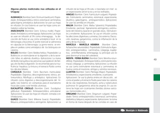 Algunas plantas medicinales mas utilizadas en el              infusión de las hojas al 5% sola o mezclada con miel es
Uruguay                                                       un expectorante útil en la tos y en los resfriados.
                                                              HINOJO (Nombre Cient. Foeniculum vulgare). Propieda-
ALBAHACA (Nombre Cient. Ocimum basilicum). Propie-            des: Estimulante carminativo, estomacal, expectorante,
dades: Antiespasmódica, tónico estomacal carminativa,         diurético, galactógeno, antiespasmódico. Aplicaciones:
galactógena, antiséptica. Aplicaciones: Se usan sus hojas     Se usan las semillas en infusión.
en infusión. En Uso Externo se usan las hojas como an-        MALVA (Nombre Cient. Malva Sylvestris) Propiedades:
tiséptico sobre las heridas.                                  Emoliente, pectoral, ligeramente astringente y estimu-
ANACAHUITA (Nombre Cient. Schinus molle). Propie-             lante del intestino, laxante en grandes dosis. Demulcen-
dades: Antiséptico y emenagogo. Aplicaciones: Las hojas       te y emoliente. Aplicaciones: Se usa en infusión contra
se usan en infusión al 5% como emenagogo, la de-              las afecciones digestivas y urinarias. Uso externo: Decoc-
cocción de frutos se usa como antiséptico local en la         ción, lavativas, gargarismos, contra la inflamación de la
blenorragia y leucorrea. El aceite esencial se administra     piel y de las mucosas.
en cápsulas en la blenorragia. La gomo-resina se em-          MARCELA - MARCELA HEMBRA (Nombre Cient.
plea en jarabes como antiséptico de los brónquios en          Achyrocline satureioides). Propiedades: Estimula la diges-
catarros.                                                     tión, antiespasmódica, carminativa, colagoga, eupép-
BOLDO (Nombre Cient. Boldea heldus. Propiedades: La           tica, antiinflamatoria, emenagoga; su principal uso es
Boldina es un estimulante en la digestión y de la secre-      para disminuir la tasa del colesterol.
ción biliar, es además diurética. Aplicaciones: La tisana     MENTA - YERBA BUENA (Nombre Cient. Mentha rotun-
                                                                                                                             49
de Boldo tranquiliza a las personas que padecen de fati-      difolia). Propiedades: Antiespasmódica, estimulante esto-
ga y les facilita la digestión. Se recomienda para la insu-   macal, colagoga y carminativa. Aplicaciones: La infusión
ficiencia hepática. La tintura y el extracto fluído contra    se usa como estimulante estomacal y carminativa, es
los cálculos biliares.                                        buena contra el insomnio, vértigos y vómitos nerviosos.
CARQUEJA (Nombre Cient. Baccharis marticulata).               LLANTEN (Nombre Cient. Plántago Major). Propiedades:
Propiedades: Digestivo, descongestionante, tónico, an-        Antidearreico, expectorante, emoliente, cicatrizante.
tirreumático, febrífugo y antiséptico. Aplicaciones: En       Aplicaciones: Se usa la planta entera en decocción, así
infusión como digestivo y descongestionante del hí-           como el jarabe y el extracto fluido para tratar los catarros
gado. Uso Externo: en compresas para el reumatismo            de las vías respiratorias, bronquitis, asma y tuberculosis
muscular y para curar heridas ulcerosas.                      pulmonar. En gargarismos alivia las anginas. En uso ex-
EUCALIPTUS CRIOLLO (Nombre Cient. Eucalyptus                  terno las hojas son cicatrizantes (heridas, úlceras varico-
glóbulus). Propiedades: Antiespasmódico, anticatarral.        sas, hemorroides, etc.).
Aplicaciones: Se usan las hojas en infusión tomada o en       OREGANO (Nombre Cient. Origanum vulgare). Propie-
inhalaciones.                                                 dades: Tónico antiespasmódico estomacal, carminativo,
GUACO (Nombre Cient. Mikania Guaco). Propiedades:             diaforético, béquico, expectorante. Aplicaciones: Se toma
Béquico, antiespasmódico, astringente. Aplicaciones: La       en forma de tisana después de las comidas en caso de
 