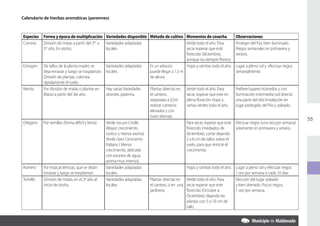 Calendario de hierbas aromáticas (perennes)



Especies   Forma y época de multiplicación Variedades disponible Método de cultivo Momentos de cosecha                      Observaciones
Comino     División de matas a partir del 2do o Variedades adaptadas                         Verde todo el año. Para        Proteger del frío, bien iluminado.
           3er año. En otoño.                    locales.                                    secar esperar que esté         Riegos semanales en primavera y
                                                                                             florecido (diciembre),         verano.
                                                                                             aunque no siempre florece.
Estragón   De tallos de la planta madre, se      Variedades adaptadas   Es un arbusto        Hojas y ramitas todo el año.   Lugar a pleno sol y efectuar riegos
           deja enraizar y luego se trasplantan. locales.               puede llegar a 1,5 m                                semanalmente.
           División de plantas, coloniza                                de altura
           rápidamente el suelo.
Menta      Por división de matas o plantas en Hay varias Variedades     Plantas directas en Verde todo el año. Para         Prefiere lugares húmedos y con
           Marzo a partir del 3er año.           silvestre, piperina.   el cantero,          secar, esperar que este en     iluminación intermedia (sol directo
                                                                        separadas a 0,5m     plena floración Hojas y        una parte del día) Instalación en
                                                                        realizar canteros    ramas verdes todo el año.      lugar protegido del frío y soleado.
                                                                        elevados y con
                                                                        buen drenaje.
                                                                                                                                                                   55
Orégano    Por semillas (forma difícil y lenta). Verde oscuro Criollo                        Para secar, esperar que este   Efectuar riegos (una vez por semana)
                                                 (Mayor crecimiento                          florecido (mediados de         solamente en primavera y verano.
                                                 rústico y menor aroma)                      diciembre), cortar dejando
                                                 Verde claro Ceniciento                      5 a 8 cm de tallos sobre el
                                                 Italiano ( Menor                            suelo, para que reinicie el
                                                 crecimiento, delicado                       crecimiento.
                                                 con excesos de agua,
                                                 aroma muy intenso).
Romero     Por estacas leñosas, que se dejan     Variedades adaptadas                        Hojas y ramitas todo el año.   Lugar a pleno sol y efectuar riegos
           enraizar y luego se trasplantan.      locales.                                                                   1 vez por semana o cada 10 días
Tomillo    División de matas, en el 2º año al    Variedades adaptadas   Plantas directas en Verde todo el año. Para         Elección del lugar soleado
           inicio de otoño.                      locales.               el cantero, o en una secar esperar que este         y bien drenado. Pocos riegos,
                                                                        jardinera.           florecido (Octubre a           1 vez por semana.
                                                                                             Diciembre), dejando las
                                                                                             plantas con 5 o 10 cm de
                                                                                             tallo.
 