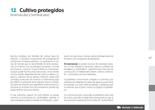 12 Cultivo protegidos
(Invernáculos y Sombráculos)




Muchas hortalizas son factibles de cultivar fuera de      tación sin que lluvias intensas afecte el trabajo diario de
estación si tomamos la precaución de protegerlas de       la huerta o el cronograma de plantación.                      57
condiciones climáticas adversas.- Un ejemplo es el cul-
tivo de tomate que no sería factible de tener produc-     El invernáculo se puede construir de materiales diver-
ción en invierno si no se protegen las plantas . Uno de   sos , el más utilizado es de postes tijeras y cumbrera de
las formas es construir lo que se llama un invernáculo,   eucaliptos y el polietileno especifico para éste tipo de
aunque puede hacerse otras estructuras como túneles       construcción. En Maldonado existen cultivos comercia-
o micro túneles dependiendo del cultivo a realizar y su   les construidos con esos materiales .
altura y volumen de las plantas. Entonces sobre este
concepto, la decisión de construir un invernáculo pasa    El polietileno comúnmente utilizado es el térmico con
por definir si queremos tener algunos frutos u hortali-   variantes de antigoteo, las gotas de agua escurren hacia
zas fuera de estación principalmente otoño-invierno o     los laterales y no caen sobre las plantas y antipolvo, que
inclusive en el primer mes de primavera en donde hay      no permite que el polvo interior se “pegue” al polietile-
riesgo de fríos nocturnos fuertes.                        no

Si hay suficiente espacio ha nivel familiar se puede      Un invernáculo bien construido el polietileno dura más
construir un invernáculo con tal finalidad. , además al   de 2 años, para ello se debe tener precaución en que la
estar protegido podemos realizar los almácigos y plan-    estructura de madera esté firme y libre de “ nudos filosos”
 