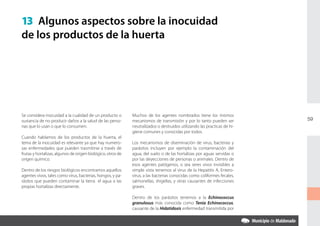13 Algunos aspectos sobre la inocuidad
de los productos de la huerta




Se considera inocuidad a la cualidad de un producto o        Muchos de los agentes nombrados tiene los mismos
sustancia de no producir daños a la salud de las perso-      mecanismos de transmisión y por lo tanto pueden ser          59
nas que lo usan o que lo consumen.                           neutralizados o destruidos utilizando las practicas de hi-
                                                             giene comunes y conocidas por todos.
Cuando hablamos de los productos de la huerta, el
tema de la inocuidad es relevante ya que hay numero-         Los mecanismos de diseminación de virus, bacterias y
sas enfermedades que pueden trasmitirse a través de          parásitos incluyen por ejemplo la contaminación del
frutas y hortalizas, algunos de origen biológico, otros de   agua, del suelo o de las hortalizas por aguas servidas o
origen químico.                                              por las deyecciones de personas o animales. Dentro de
                                                             esos agentes patógenos, o sea seres vivos invisibles a
Dentro de los riesgos biológicos encontramos aquellos        simple vista tenemos al virus de la Hepatitis A, Entero-
agentes vivos, tales como virus, bacterias, hongos, y pa-    virus, a las bacterias conocidas como coliformes fecales,
rásitos que pueden contaminar la tierra el agua o las        salmonellas, shigellas, y otras causantes de infecciones
propias hortalizas directamente.                             graves.

                                                             Dentro de los parásitos tenemos a la Echinococcus
                                                             granulosus más conocida como Tenia Echinococcus,
                                                             causante de la Hidatidosis enfermedad transmitida por
 