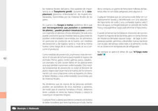 las materias fecales del perro. Otro parásito de impor-       de su contacto, un gramo de tierra tiene millones de bac-
     tancia es el Toxoplasma gondii, causante de la toxo-          terias, ellas no son todas peligrosas, pero algunos sí.
     plasmosis, gravisima enfermedad en las mujeres em-
     barazadas, transmitidas por las materias fecales de los       Cualquier hortaliza que se consuma cruda debe ser cui-
     gatos.                                                        dadosamente lavada y desinfectada con una solución
                                                                   de hipoclorito de sodio ( una cucharada sopera cada 5
     En cuanto a los hongos o mohos, podemos decir que             litros de agua), sumergiéndola por un periodo de media
     son microorganismos que parasitan o contaminan                hora y enjuagándose luego para eliminar el hipoclorito.
     las plantas y pueden producir intoxicaciones cuando
     son ingeridas en plantas o frutos alterados. De todo esto     Cuando se hierven las hortalizas en el proceso de cocción,
     puede concluirse que las medidas básicas para evitar las      mueren la mayoría de las bacterias, pero no ciertas formas
     posibles enfermedades transmitidas por los alimentos,         de resistencia llamadas esporas luego de bajar la tem-
     en particular los productos de la huerta, son medidas         peratura pueden germinar y desarrollar nuevas bacterias
     de prevención y de higiene, tanto a nivel de la misma         con el paso del tiempo sobre todo sí el alimento cocido
     huerta como luego de la cosecha cuando se va a con-           no se conserva en temperaturas de refrigerador.
     sumir el producto.
                                                                   No siempre se aplica el refrán de que “el fuego mata
     Como medidas de prevención, la primera y más elemen-          todo”. n
     tal es el cercado de la huerta para impedir el ingreso de
60
     animales. Perros, gatos, cerdos, gallinas, patos, caballos.
     Los animales no solo causan daños en las plantaciones
     sino que también transmiten enfermedades. Otra medi-
     da fundamental de prevención es evitar el derrame de
     pozos negros que vayan hacia la huerta, por la contami-
     nación con virus o bacterias como la hepatitis, el cólera,
     la fiebre tifoidea y otras enfermedades transmitidas por
     las materias fecales.

     No olvidemos que las manos de las personas también
     pueden ser portadoras de virus, bacterias y parásitos,
     de modo que al cosechar hortalizas o frutas, debemos
     tener cuidado en tener las manos limpias y colocar la
     cosecha en recipientes limpios.

     Cualquier fruto o planta que este en contacto con la tierra
     se debe considerar que tiene bacterias por el solo hecho
 