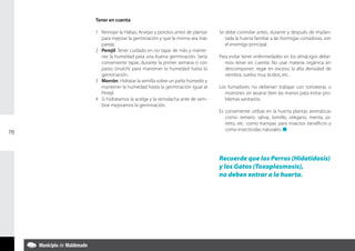 Tener en cuenta

     1 	 Remojar la Habas, Arvejas y porotos antes de plantar   Se debe controlar antes, durante y después de implan-
         para mejorar la germinación y que la misma sea más        tada la huerta familiar a las hormigas cortadoras, son
         pareja.                                                   el enemigo principal.
     2 	 Perejil: Tener cuidado en no tapar de más y mante-
         ner la humedad para una buena germinación. Sería       Para evitar tener enfermedades en los almácigos debe-
         conveniente tapar, durante la primer semana o con         mos tener en cuenta: No usar materia orgánica sin
         pasto (mulch) para mantener la humedad hasta la           descomponer; regar en exceso, la alta densidad de
         germinación.                                              siembra, suelos muy ácidos, etc..
     3 	 Morrón: Hidratar la semilla sobre un paño húmedo y
         mantener la humedad hasta la germinación igual al      Los fumadores no deberían trabajar con tomateras o
         Perejil.                                                  morrones sin lavarse bien las manos pata evitar pro-
     4	 Si hidratamos la acelga y la remolacha ante de sem-        blemas sanitarios.
         brar mejoramos la germinación.
                                                                Es conveniente utilizar en la huerta plantas aromáticas
                                                                   como: remero, salvia, tomillo, orégano, menta, pi-
                                                                   retro, etc. como trampas para insectos benéficos y
                                                                   como insecticidas naturales. n
76



                                                                Recuerde que los Perros (Hidatidosis)
                                                                y los Gatos (Toxoplasmosis),
                                                                no deben entrar a la huerta.
 