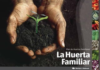Plan de Huertas Familiares


La Huerta
 Familiar
 