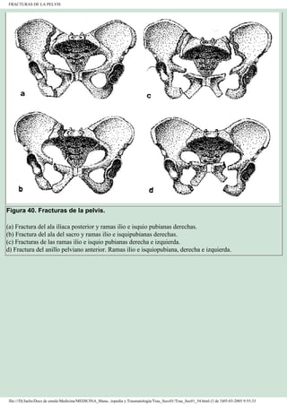 Manual de Ortopedia y Traumatología