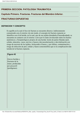 Manual de Ortopedia y Traumatología