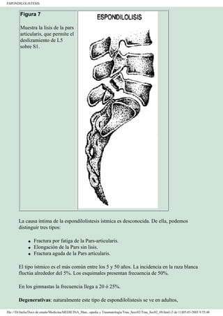 Manual de Ortopedia y Traumatología
