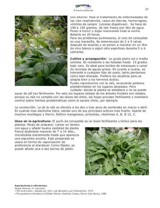 Manual deplantasmedicinales