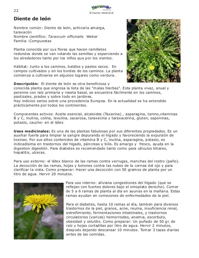 Manual De Plantas Medicinales
