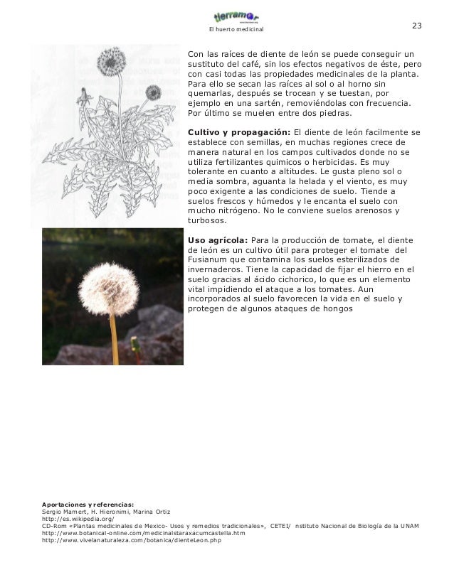 Manual De Plantas Medicinales