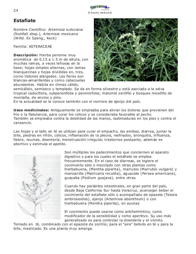 Manual De Plantas Medicinales