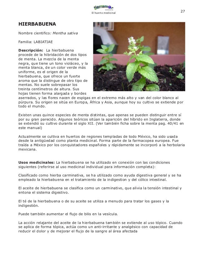 Manual De Plantas Medicinales