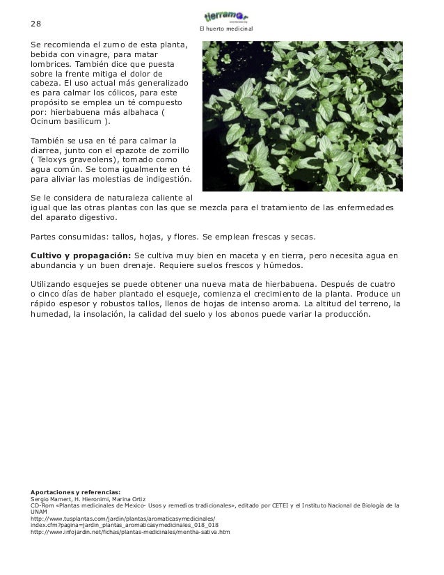 Manual De Plantas Medicinales