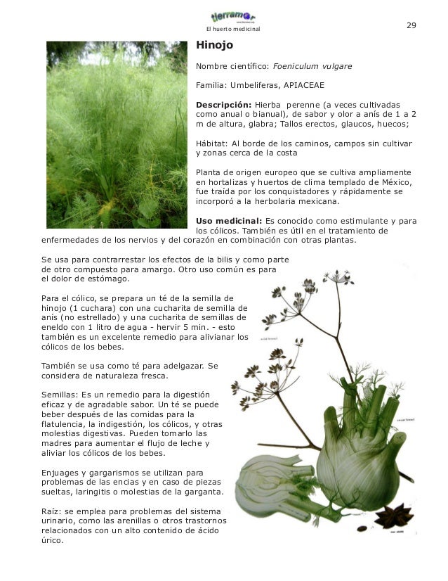 Manual De Plantas Medicinales