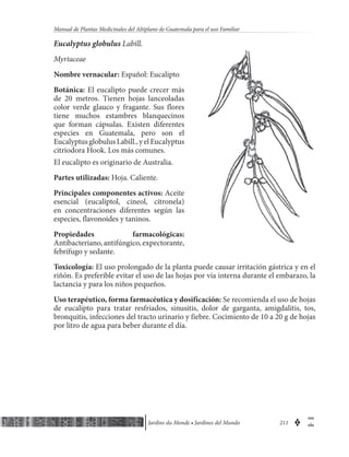 Manual de-plantas-medicinales-guatemala-jdm