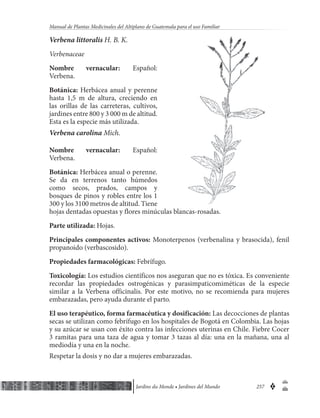 Manual de-plantas-medicinales-guatemala-jdm