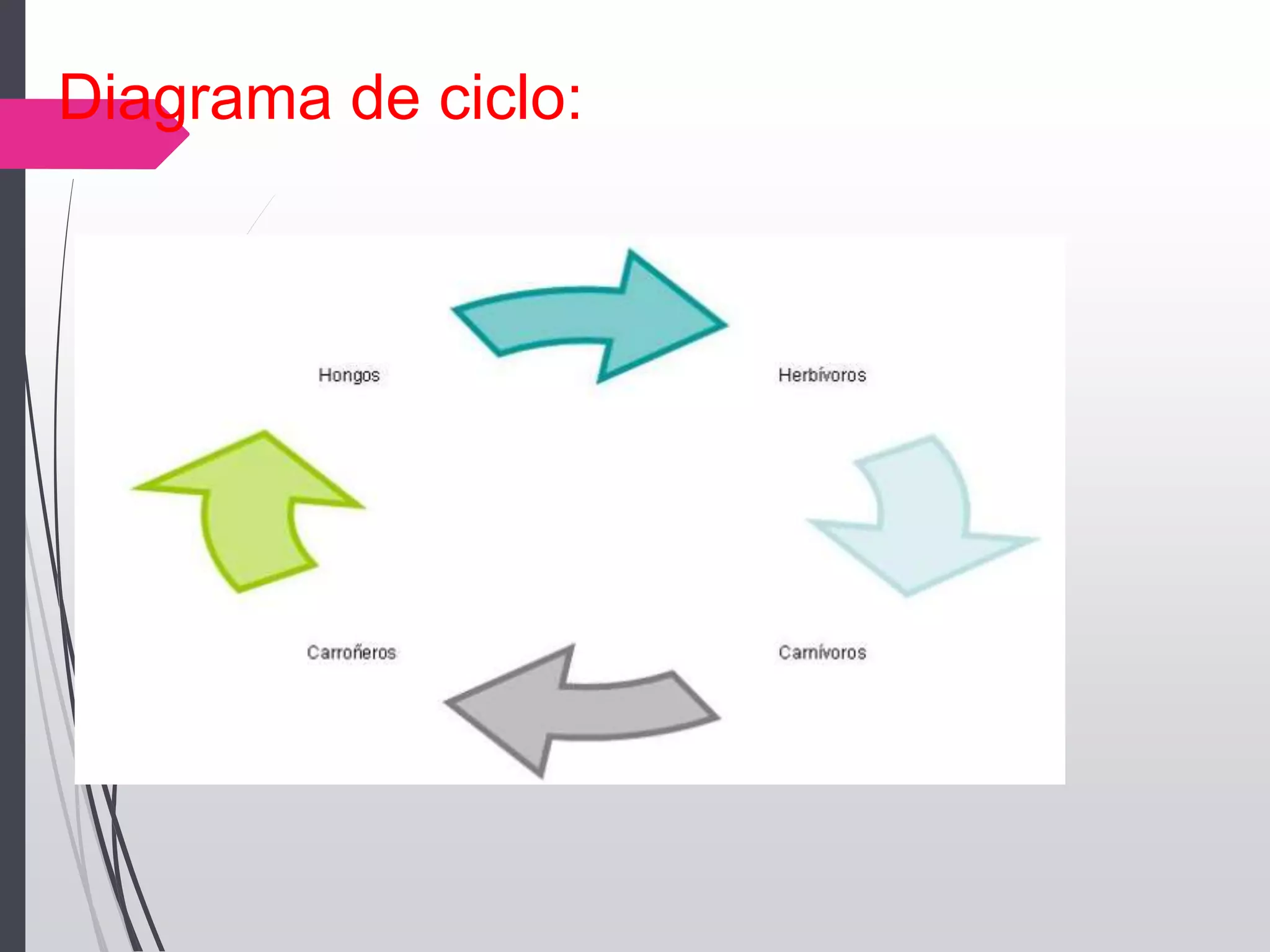 Diagrama de ciclo:
 