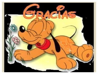 Manual de-power 8888