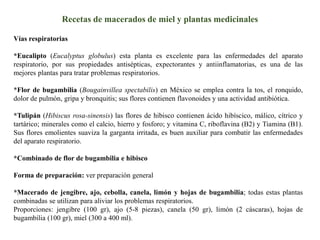 Manual De Usos Para Miel Y Herbolaria Pdf Herbs And Supplements