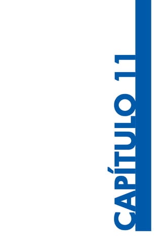 239
CAPÍTULCAPÍTULCAPÍTULCAPÍTULCAPÍTULO11O11O11O11O11
 