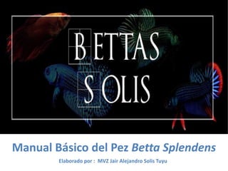 Manual Básico del Pez Betta Splendens
Elaborado por : MVZ Jair Alejandro Solis Tuyu
 
