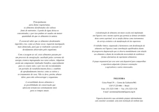 FIGUEIRA
Caixa Postal 29 — Carmo da Cachoeira/MG
CEP 37.225-000 — Brasil
Fone: (35) 3225-3100 — Fax: (35) 3225-3128
E-mail: secretaria@fazendafigueira.org.br
Figueira desenvolve suas atividades grupais informalmente,
sem constituir sociedade, seita nem instituição de nenhum tipo.
A desidratação de alimentos em maior escala está implantada
em Figueira com o mesmo espírito que permeia as demais atividades
deste centro espiritual: ter as tarefas diárias como instrumentos
de serviço evolutivo e de manifestação de leis superiores.
O trabalho rítmico, organizado e harmonioso com desidratação de
alimentos em Figueira é uma contribuição equilibradora diante
da progressiva degeneração que se observa mundialmente com relação
aos alimentos e diante da reconhecida necessidade de estabelecer
formas alternativas de suprimento alimentício.
O grupo responsável por esse setor está disponível para compartilhar
a experiência adquirida e fornecer orientações
a agricultores e outros interessados.
Principalmente
para dietas vegetarianas,
os alimentos desidratados são valiosa
fonte de nutrientes. A perda de água deixa-os
concentrados, e por isso podem ser usados em menor
quantidade do que os alimentos in natura.
É essencial saber que os alimentos desidratados
ingeridos crus, como as frutas secas, requerem mastigação
mais demorada, para que se reidratem e possam ser
devidamente absorvidos pelo organismo.
Com a secagem ao sol, esses alimentos passam por
um processo de energização, auxiliado pelas correntes de
energia cósmica impregnadas nos raios solares. Adquirem
assim um componente vitalizador benéfico, especialmente
para os corpos sutis, e por isso são recomendados
em períodos de restabelecimento físico, e também
de aprofundamento interior, como os retiros e
os tratamentos de cura. Não se deve, porém, abusar
deles, para não sobrecarregar o organismo.
A versatilidade desses alimentos e
as possibilidades de conservação que
oferecem tornam-nos extremamente úteis
para os tempos atuais.
 