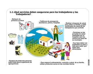 Manual Didactico De Bpa