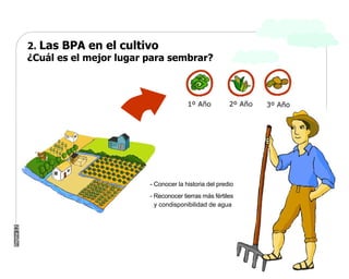 Manual Didactico De Bpa
