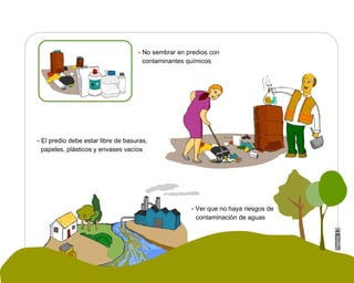 Manual Didactico De Bpa