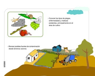 Manual Didactico De Bpa