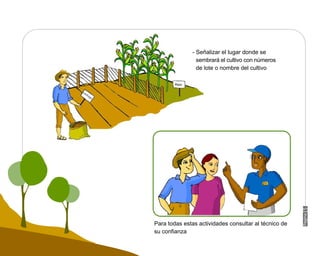 Manual Didactico De Bpa