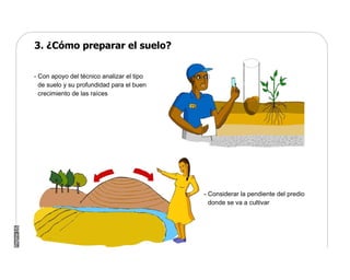 Manual Didactico De Bpa