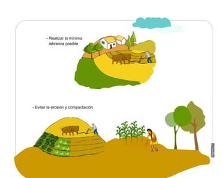 Manual Didactico De Bpa