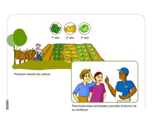 Manual Didactico De Bpa