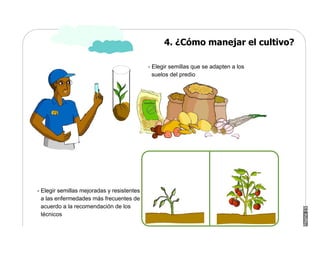 Manual Didactico De Bpa