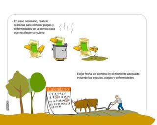 Manual Didactico De Bpa