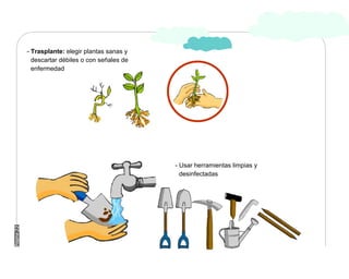 Manual Didactico De Bpa