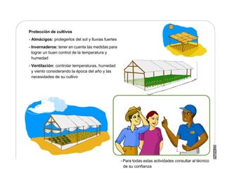 Manual Didactico De Bpa