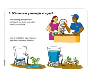 Manual Didactico De Bpa