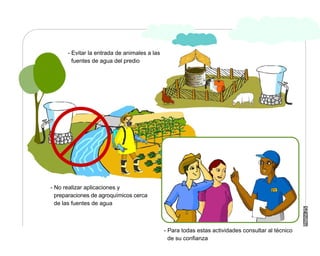 Manual Didactico De Bpa