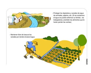 Manual Didactico De Bpa