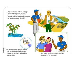 Manual Didactico De Bpa