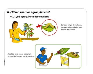 Manual Didactico De Bpa