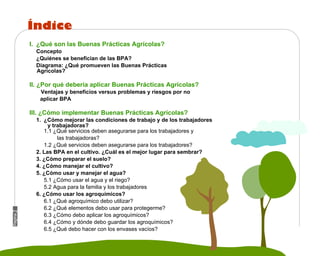 Manual Didactico De Bpa