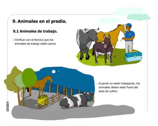 Manual Didactico De Bpa