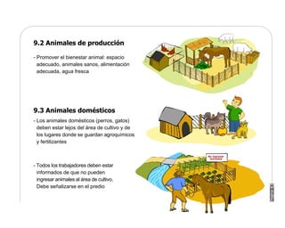 Manual Didactico De Bpa