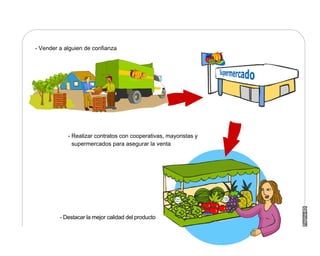 Manual Didactico De Bpa