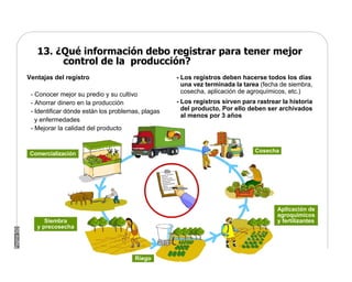 Manual Didactico De Bpa