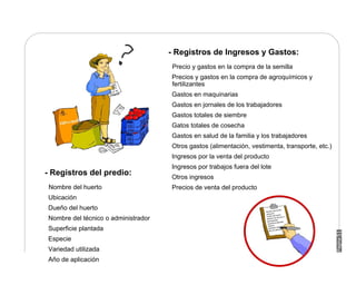 Manual Didactico De Bpa