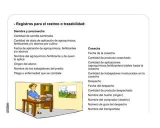 Manual Didactico De Bpa