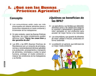 Manual Didactico De Bpa